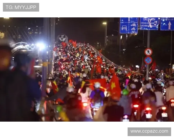 越南国家队球迷热情