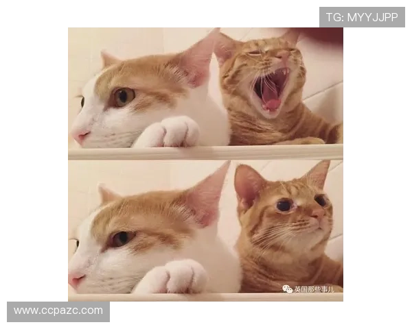 谁能想到柳雅慧训练完还自己下厨，这画风反差太大了吧？